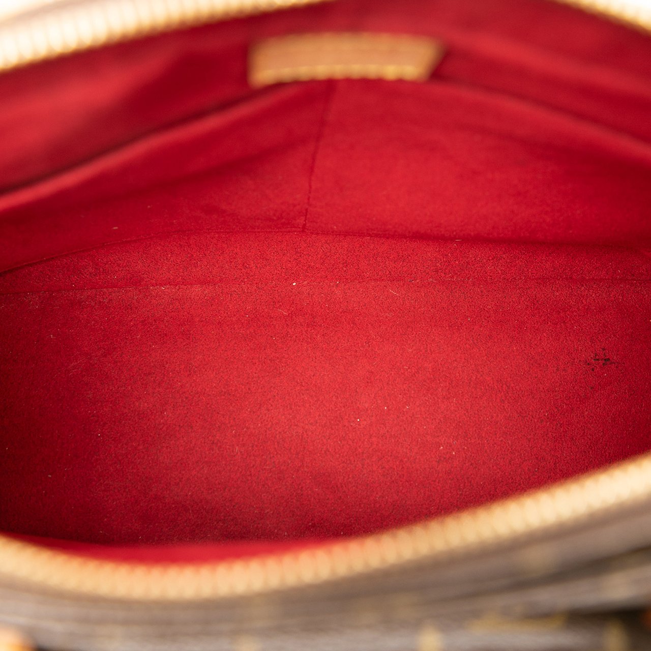 Louis Vuitton Monogram Multipli Cite Bruin