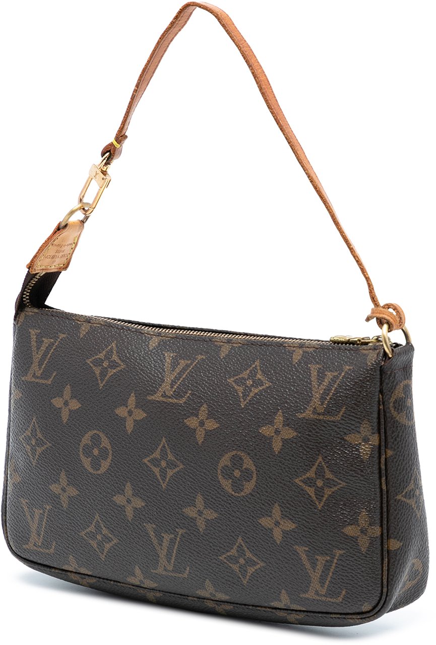 Louis Vuitton Monogram Pochette Accessoires Bruin