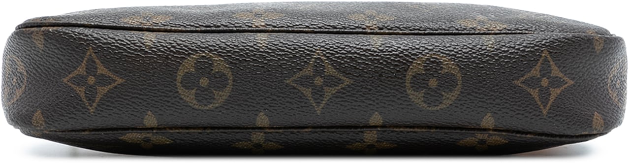 Louis Vuitton Monogram Pochette Accessoires Bruin