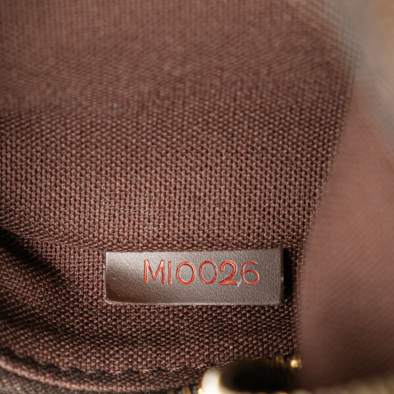 Louis Vuitton Damier Ebene Olav PM Bruin