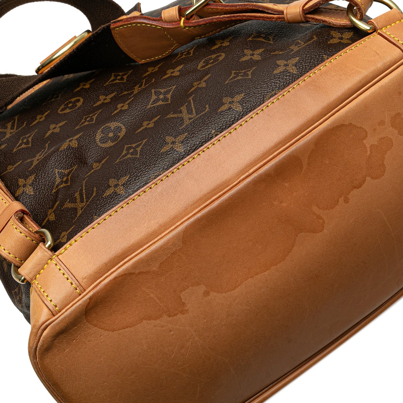 Louis Vuitton Monogram Montsouris GM Bruin