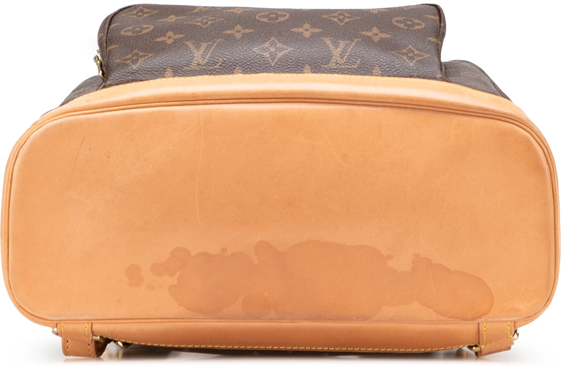Louis Vuitton Monogram Montsouris GM Bruin