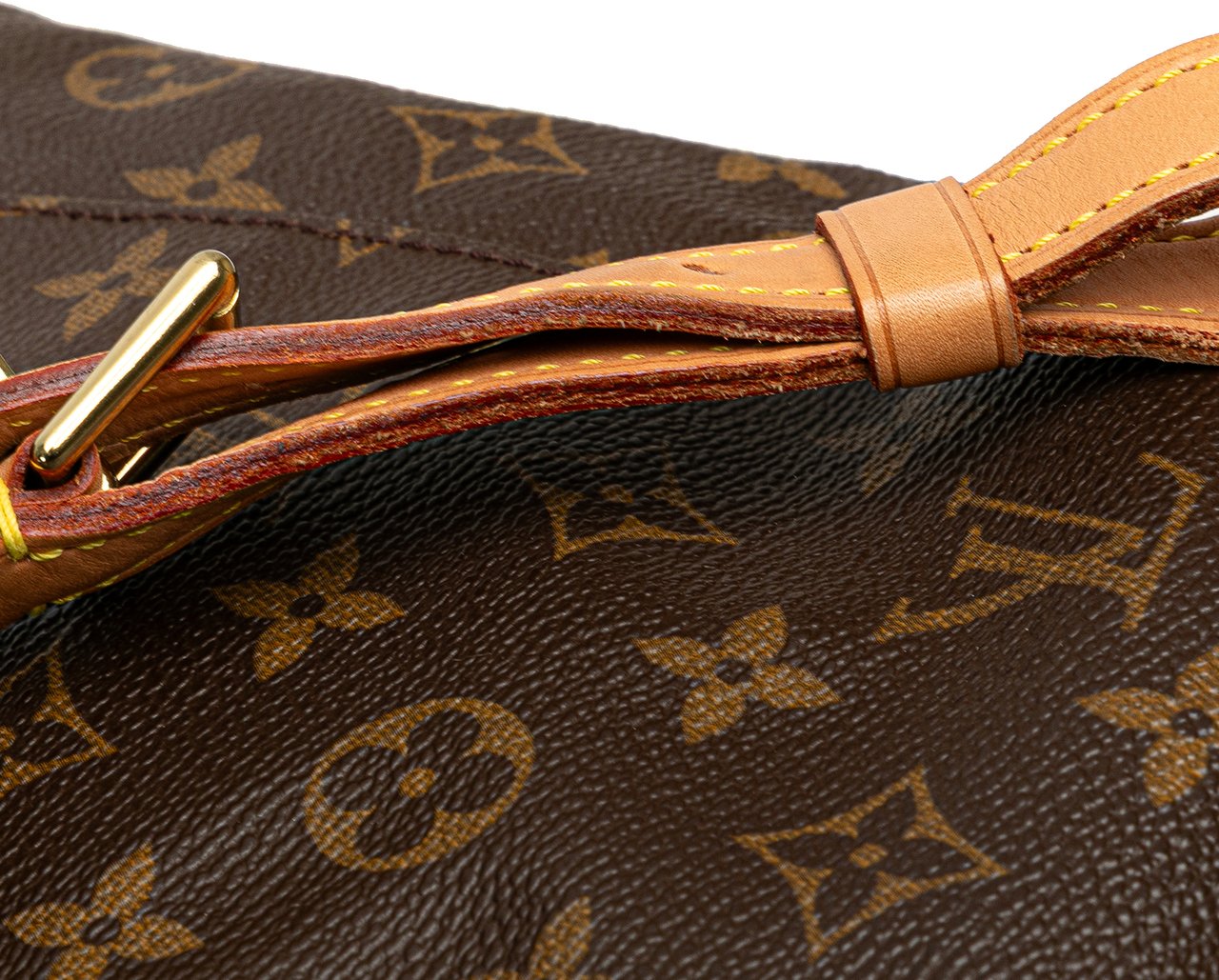 Louis Vuitton Monogram Montsouris GM Bruin