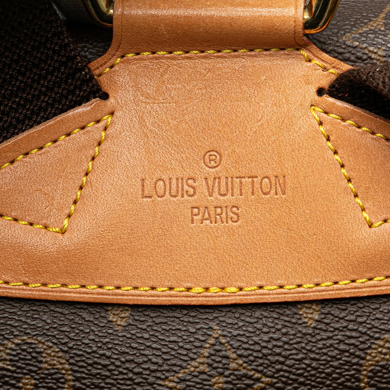 Louis Vuitton Monogram Montsouris GM Bruin