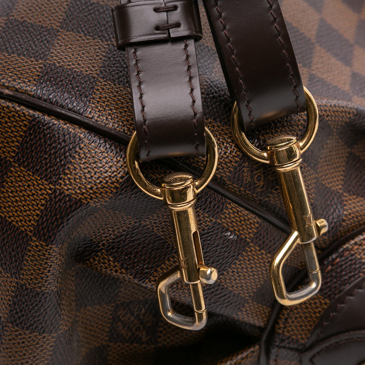 Louis Vuitton Damier Ebene Trevi PM Bruin