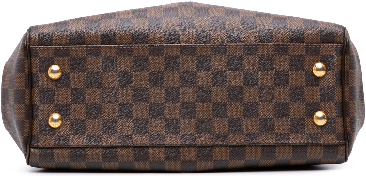 Louis Vuitton Damier Ebene Trevi PM Bruin
