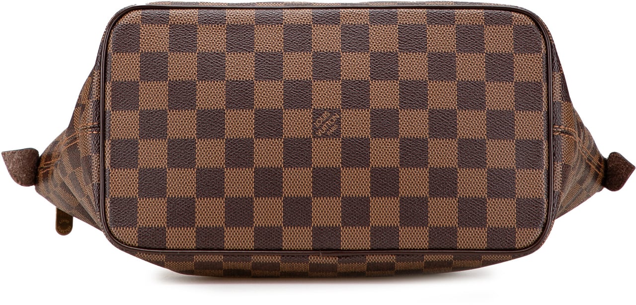 Louis Vuitton Damier Ebene Saleya PM Bruin