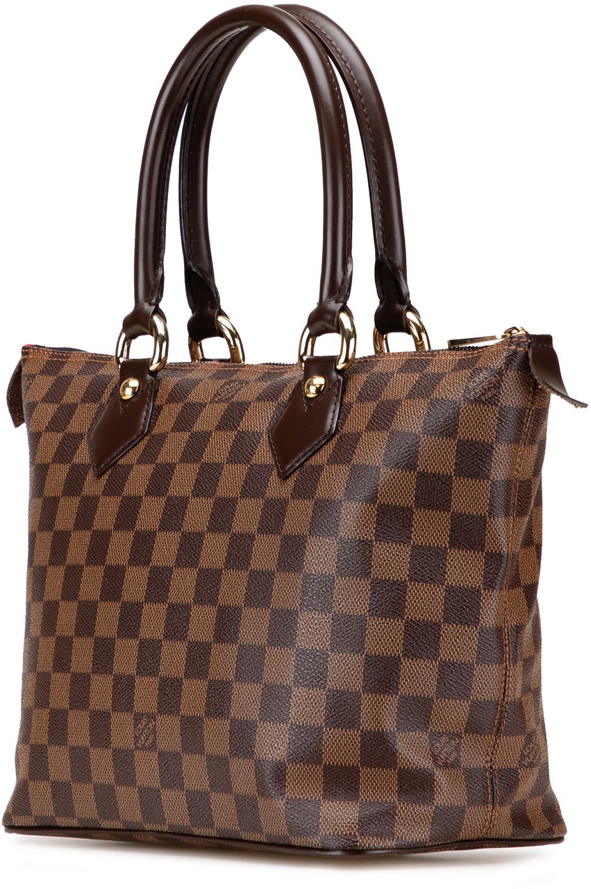 Louis Vuitton Damier Ebene Saleya PM Bruin
