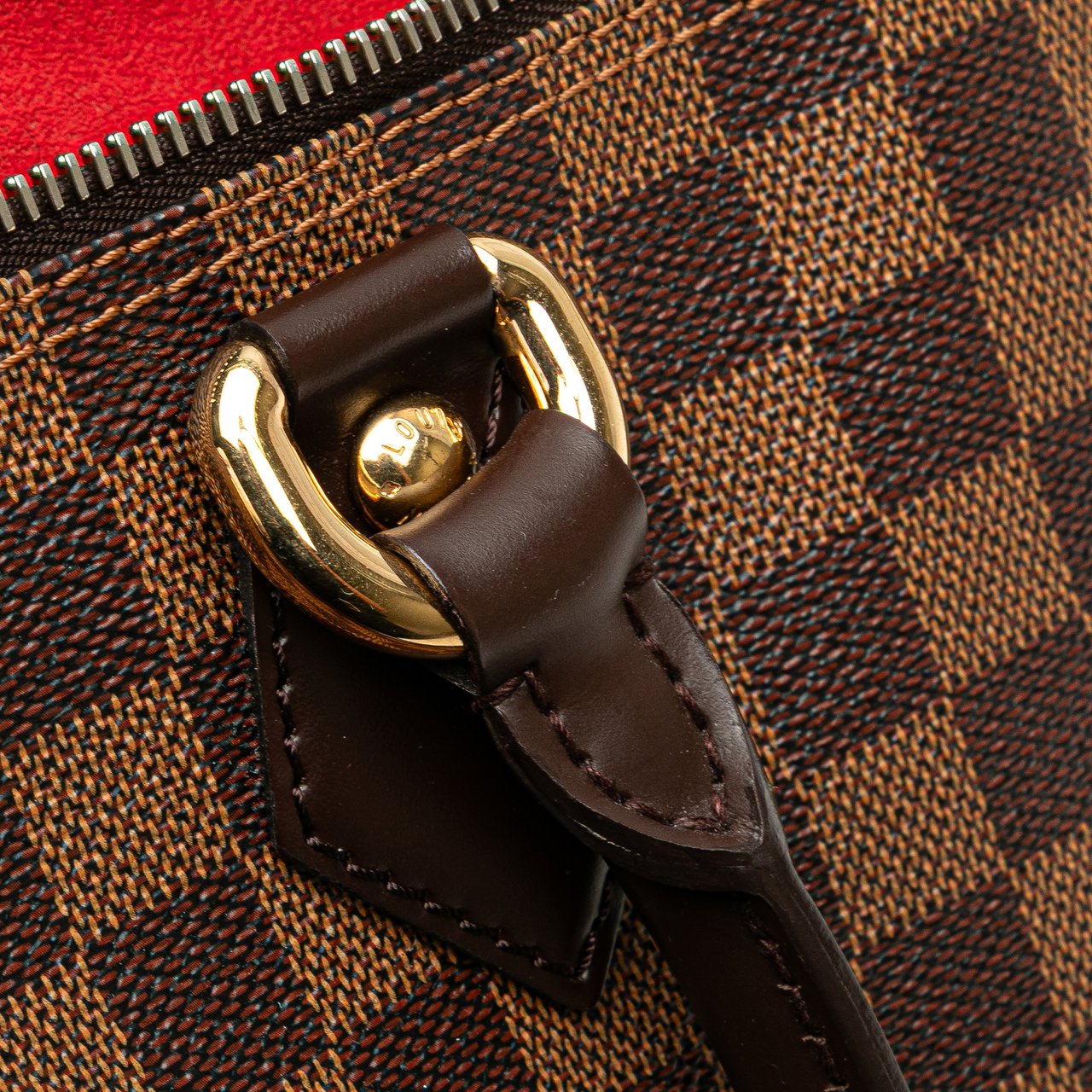 Louis Vuitton Damier Ebene Saleya PM Bruin