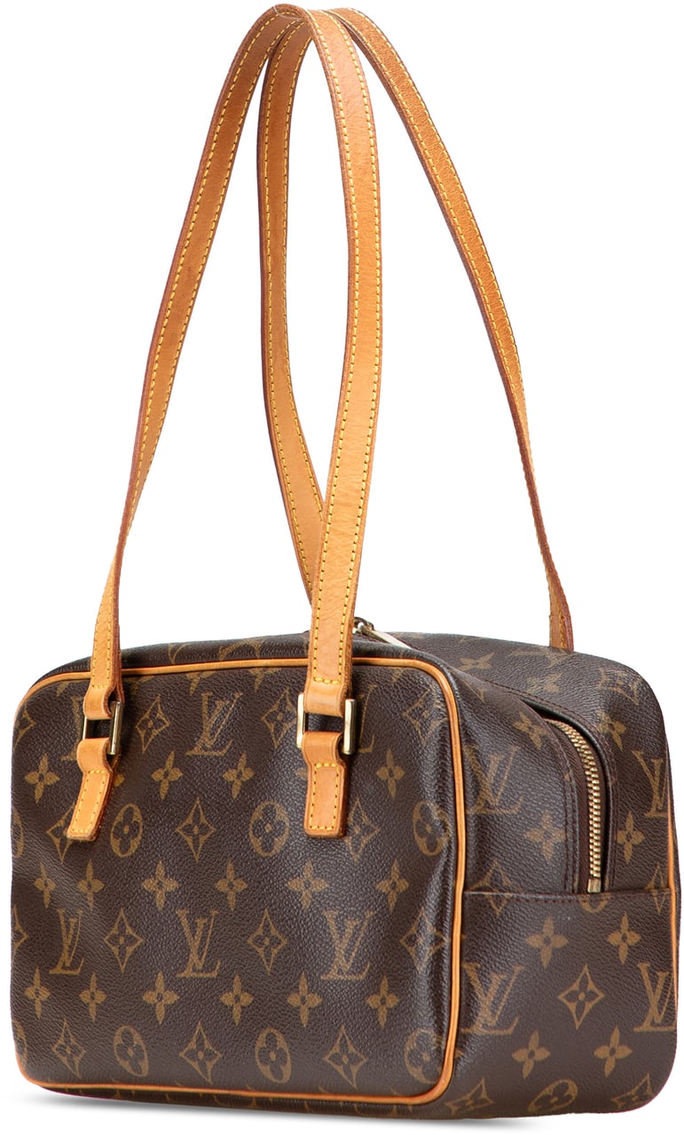 Louis Vuitton Monogram Cite MM Bruin