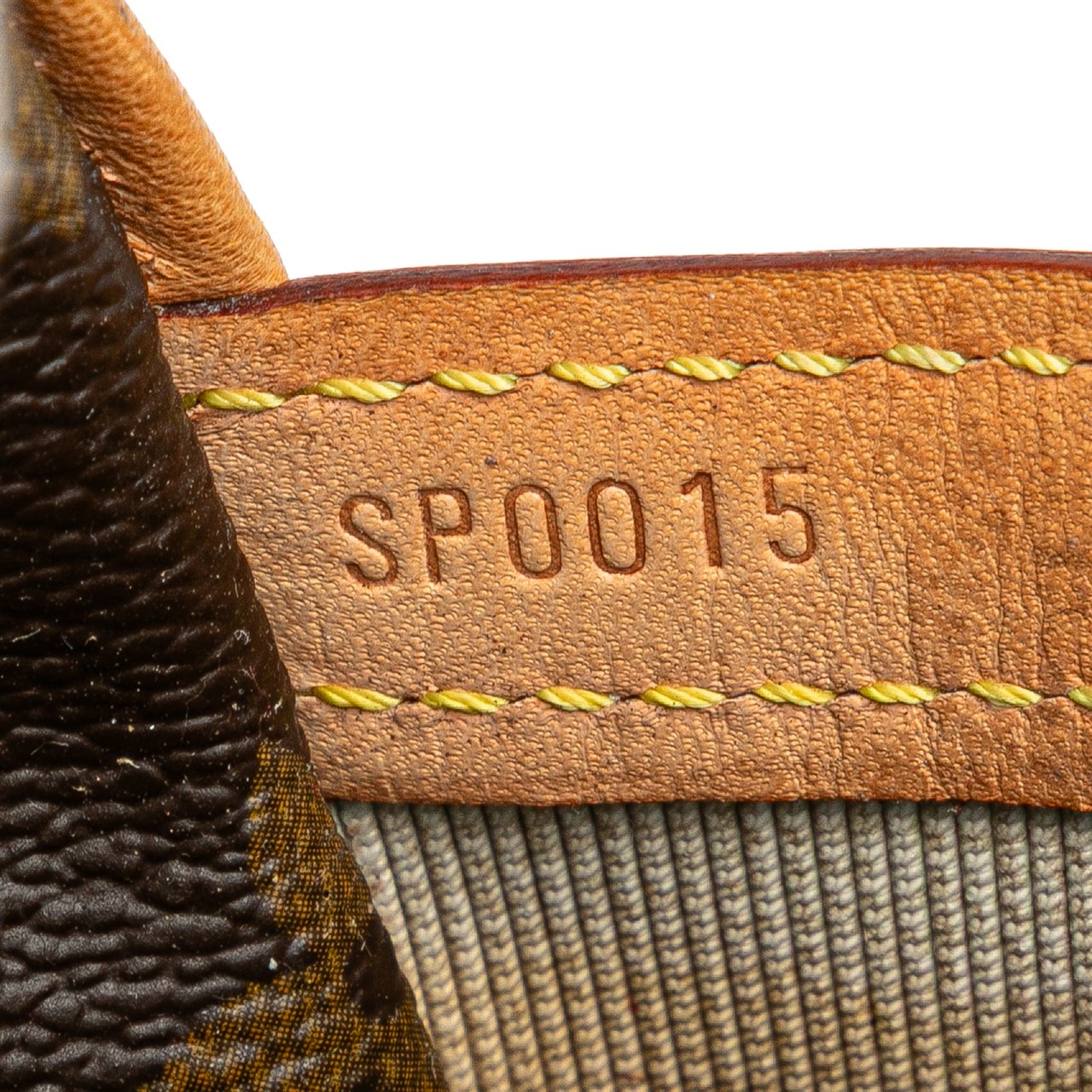 Louis Vuitton Monogram Reporter PM Bruin
