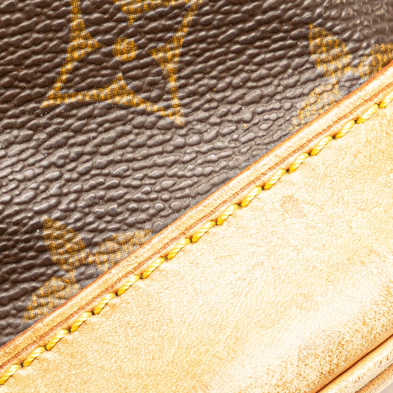 Louis Vuitton Monogram Montsouris MM Bruin