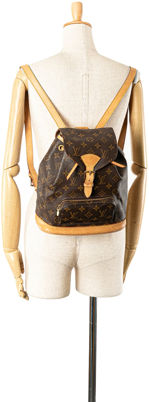 Louis Vuitton Monogram Montsouris MM Bruin