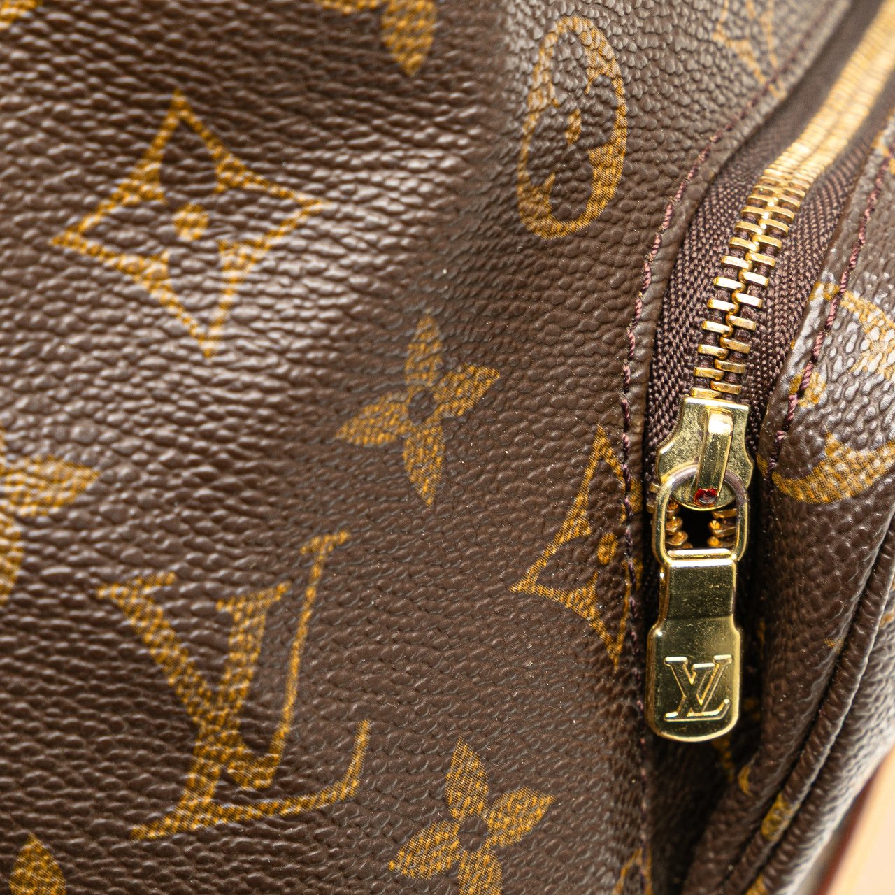 Louis Vuitton Monogram Montsouris MM Bruin