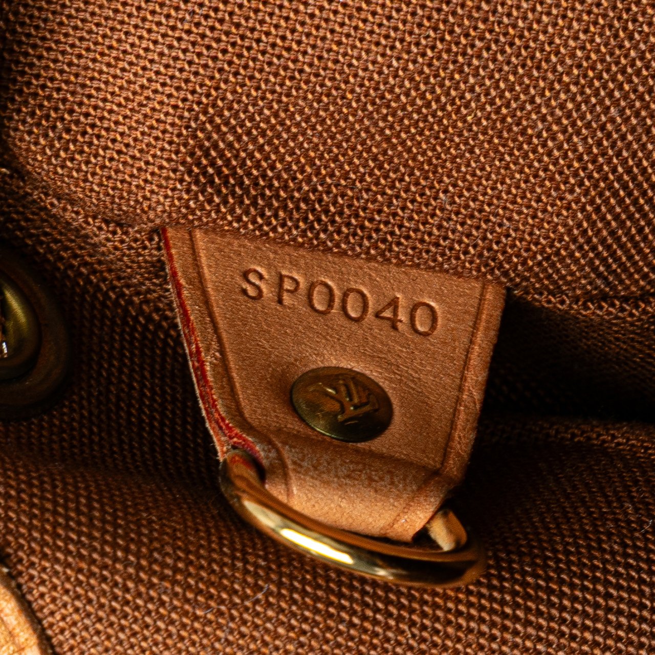 Louis Vuitton Monogram Montsouris MM Bruin