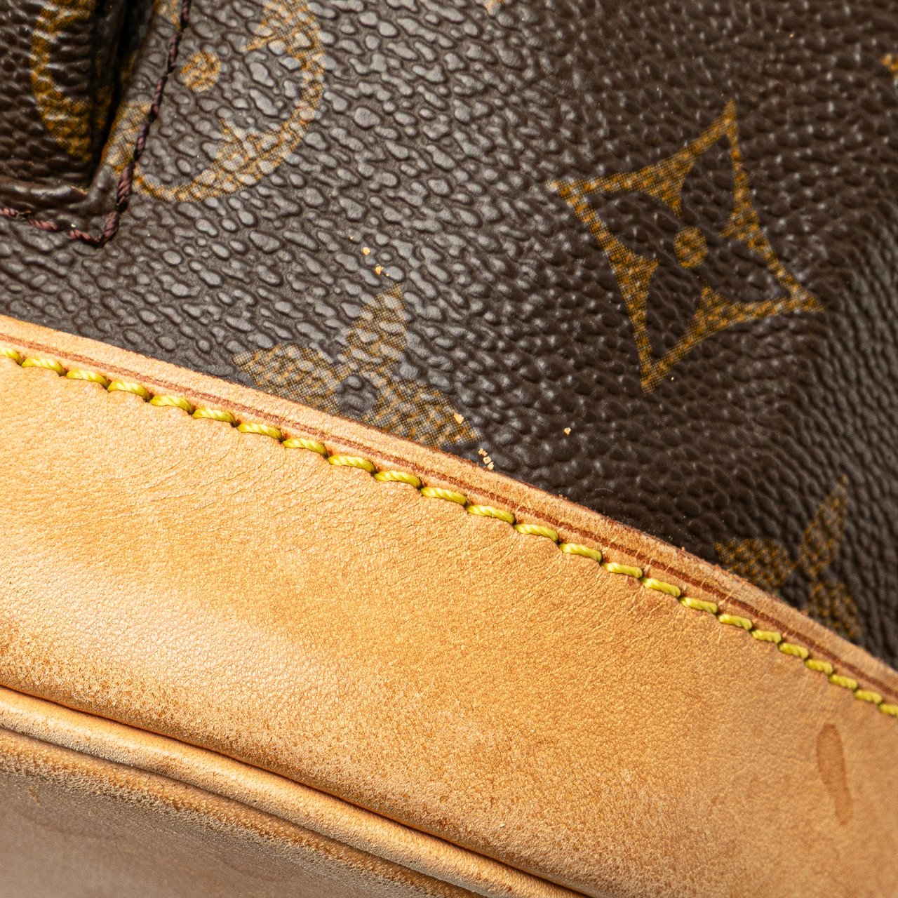 Louis Vuitton Monogram Montsouris MM Bruin