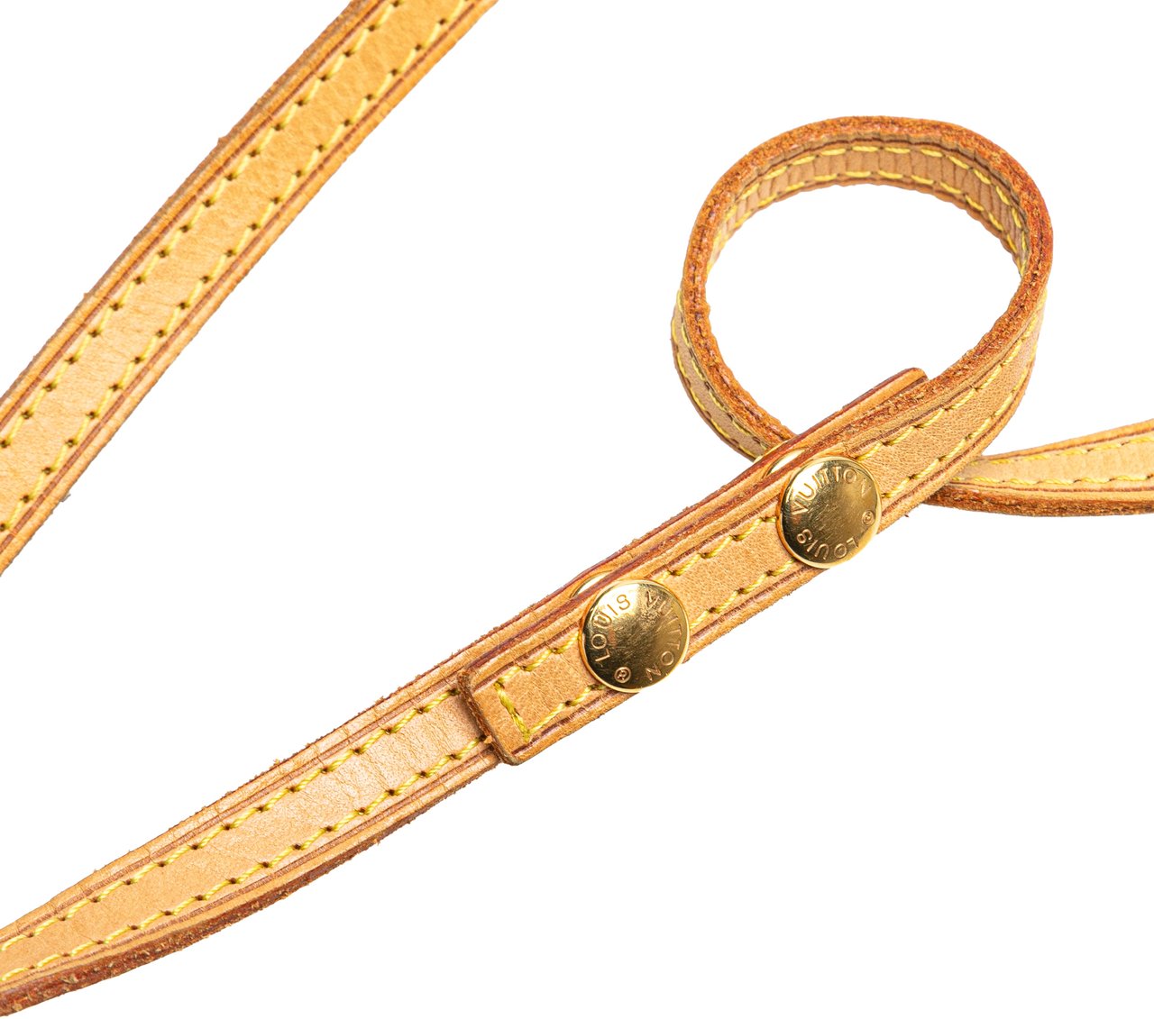 Louis Vuitton Monogram Pochette Twin GM Bruin