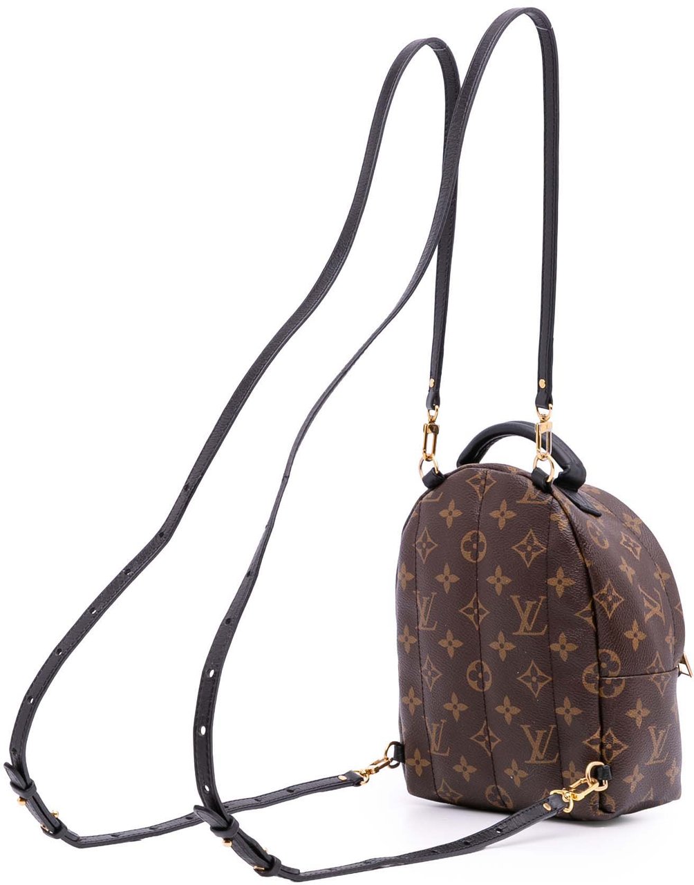 Louis Vuitton Monogram Mini Palm Springs Bruin