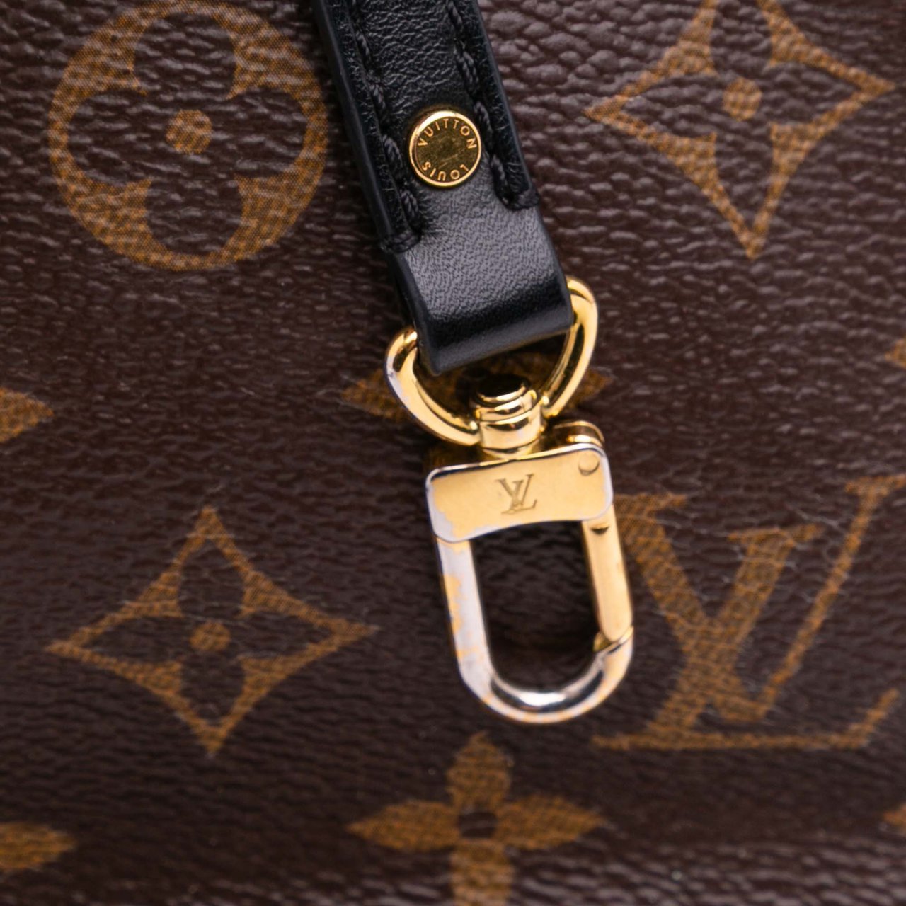 Louis Vuitton Monogram Mini Palm Springs Bruin