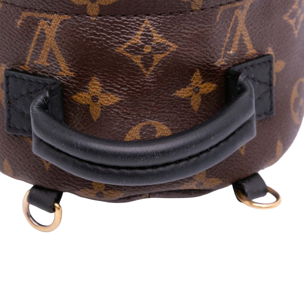 Louis Vuitton Monogram Mini Palm Springs Bruin
