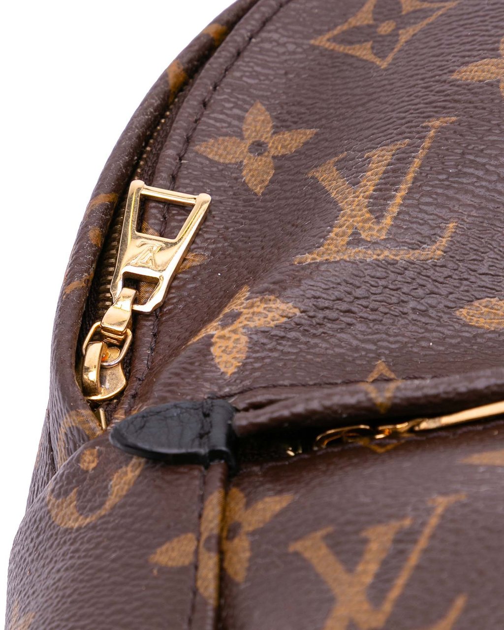 Louis Vuitton Monogram Mini Palm Springs Bruin