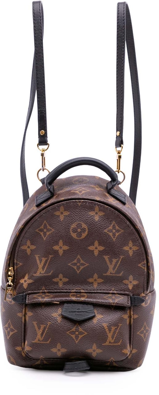 Louis Vuitton Monogram Mini Palm Springs Bruin