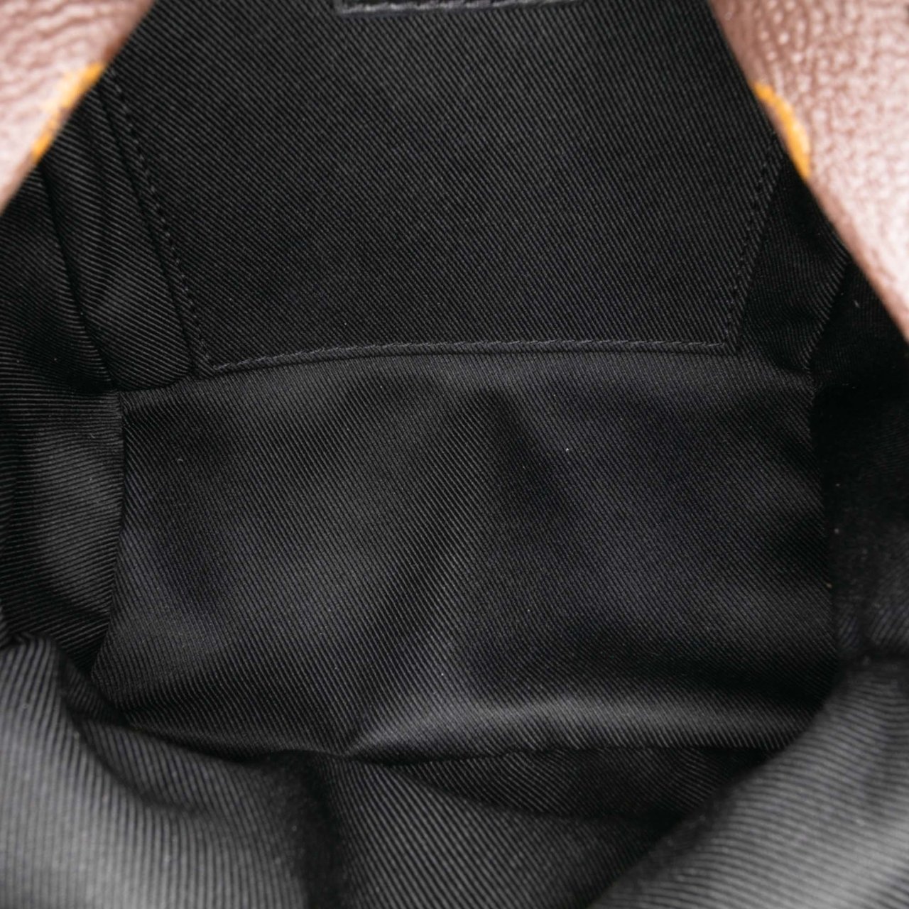 Louis Vuitton Monogram Mini Palm Springs Bruin