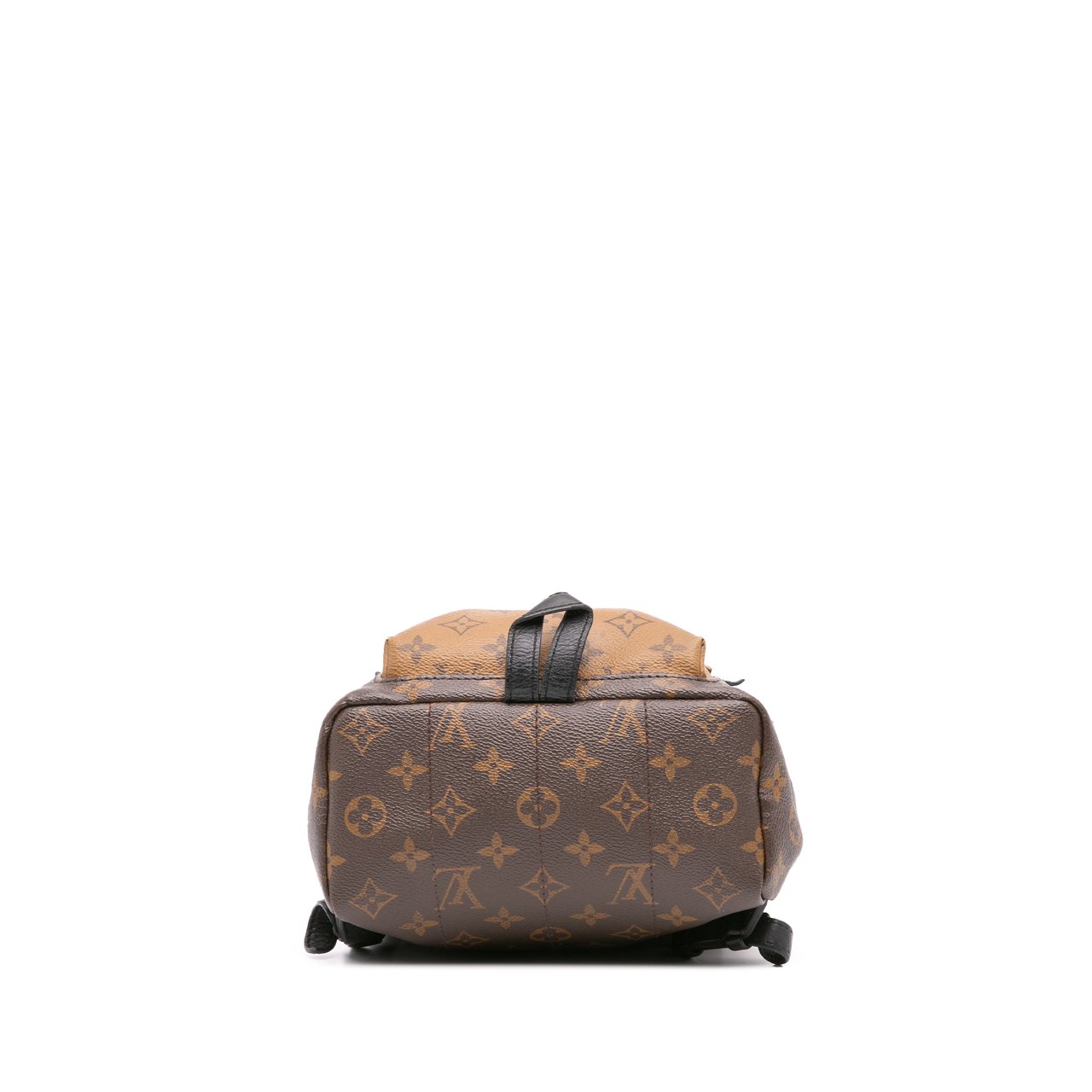 Louis Vuitton Monogram Reverse Palm Springs PM Bruin