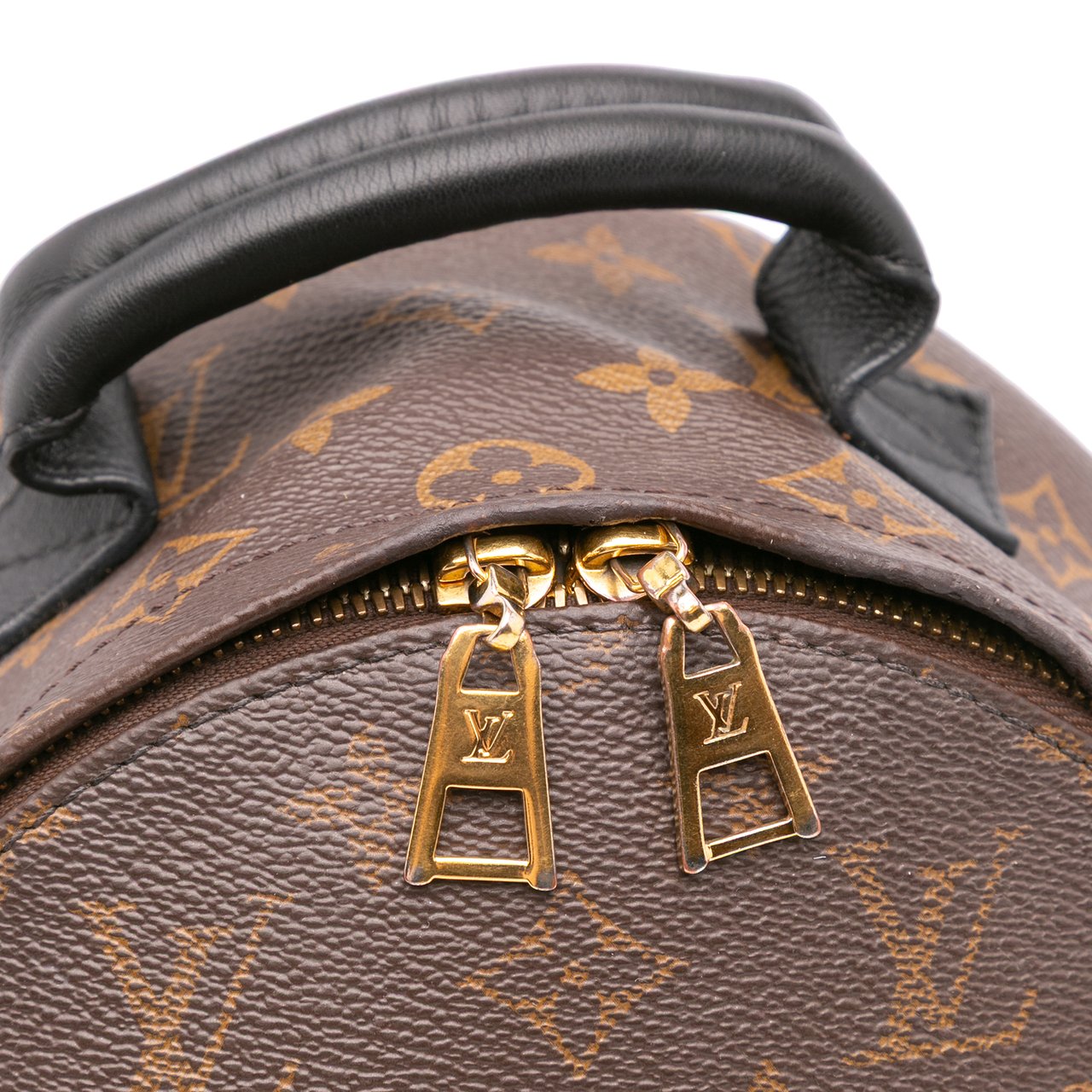 Louis Vuitton Monogram Reverse Palm Springs PM Bruin