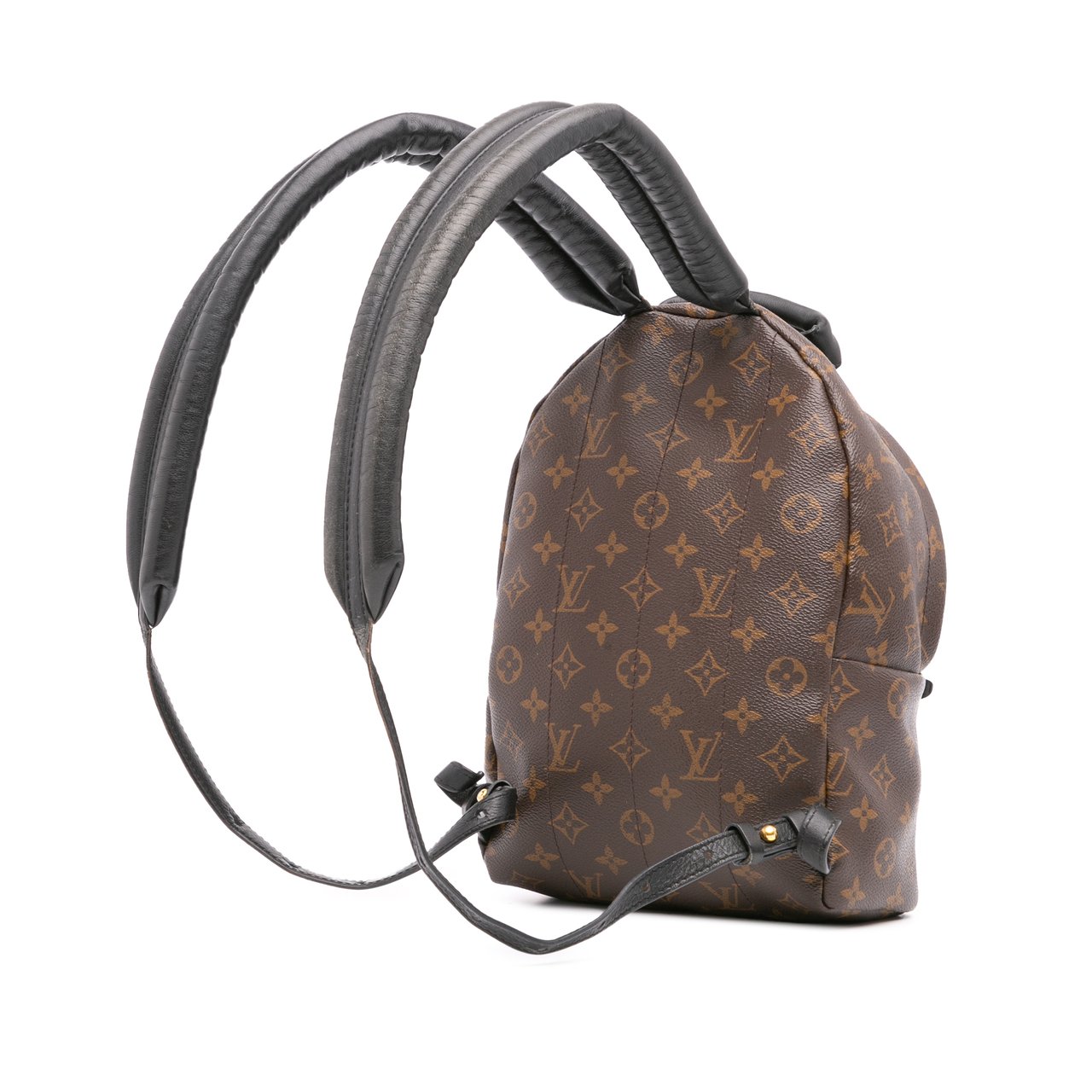 Louis Vuitton Monogram Reverse Palm Springs PM Bruin