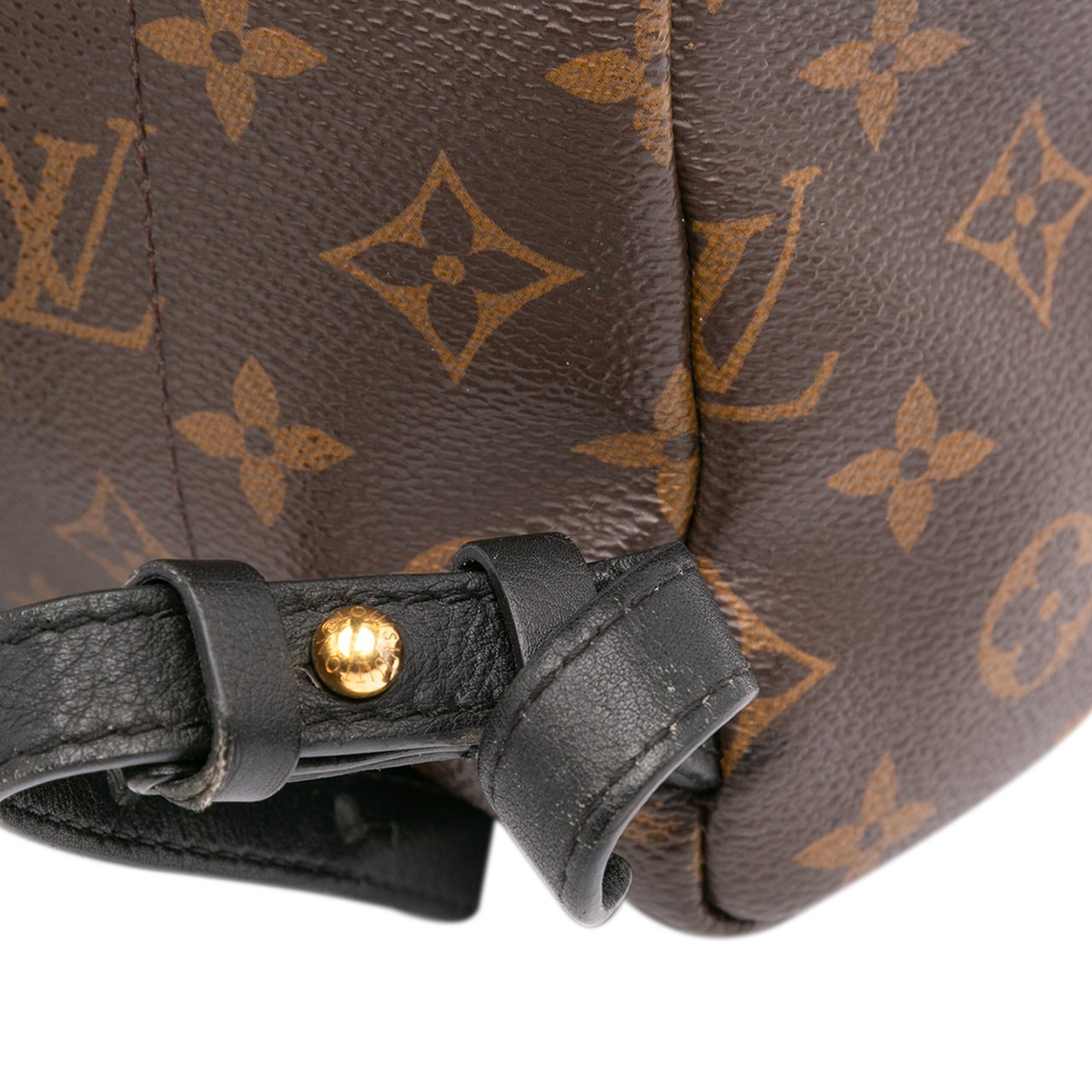 Louis Vuitton Monogram Reverse Palm Springs PM Bruin