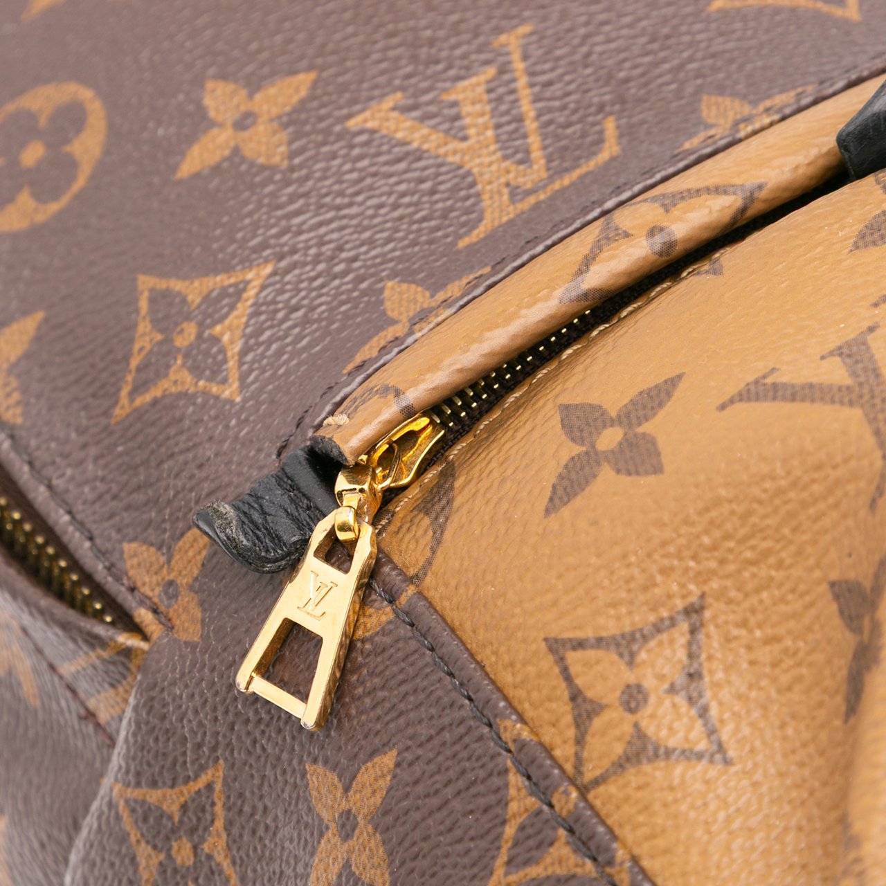 Louis Vuitton Monogram Reverse Palm Springs PM Bruin