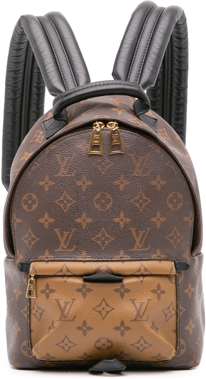 Louis Vuitton Monogram Reverse Palm Springs PM Bruin