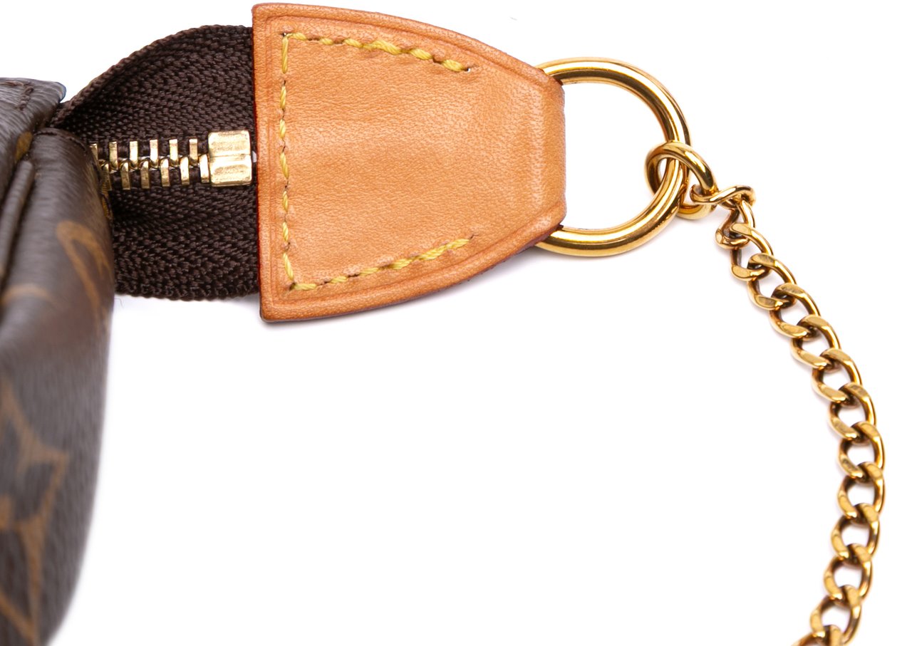 Louis Vuitton Monogram Mini Pochette Accessoires Bruin