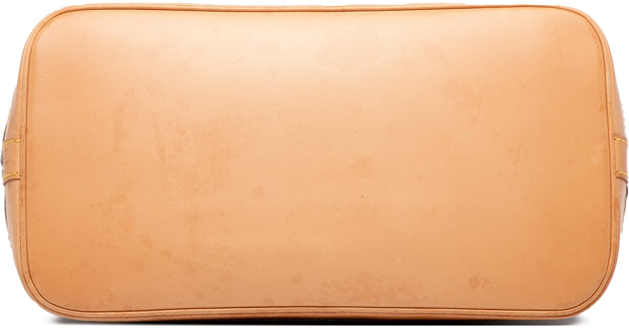 Louis Vuitton Monogram Alma PM Bruin