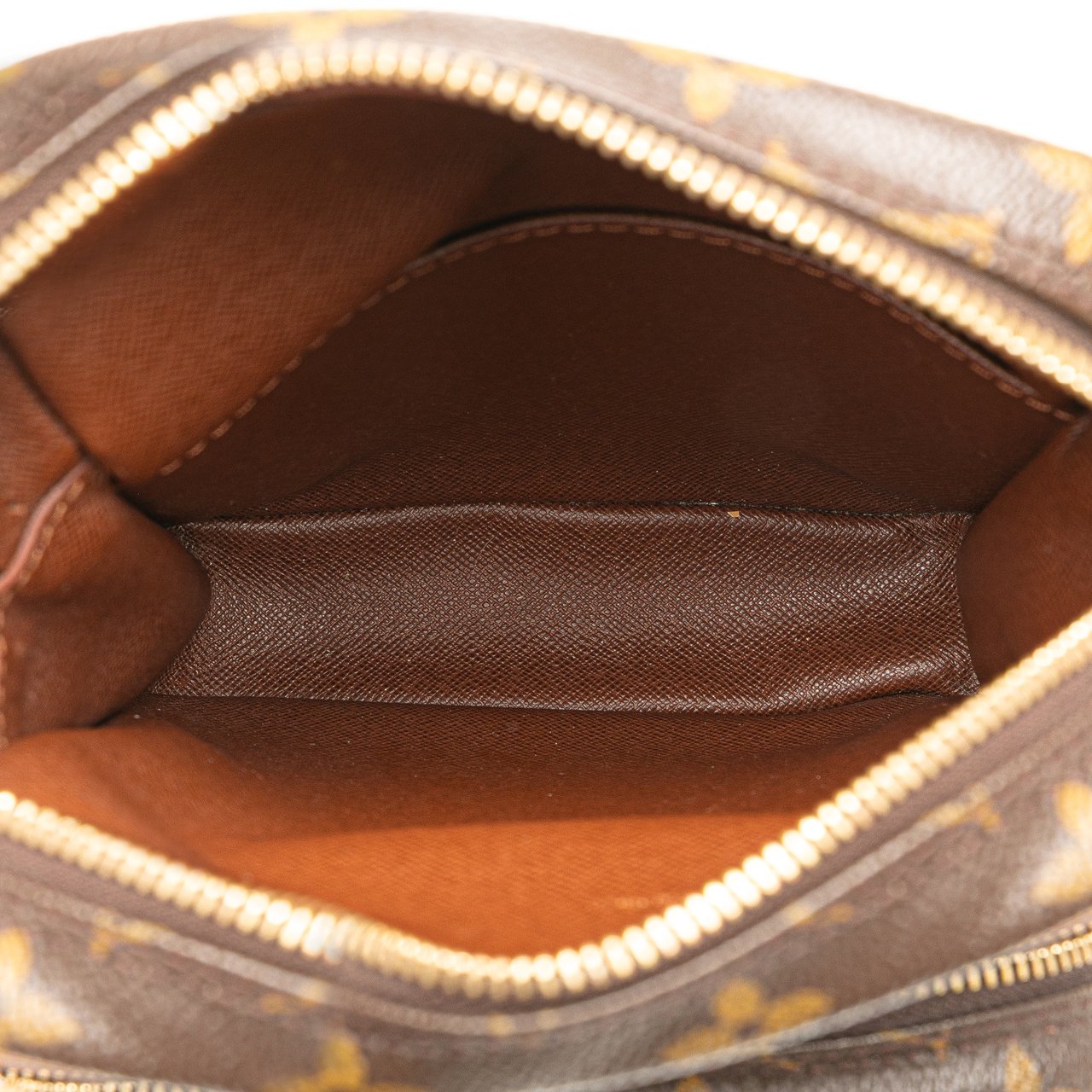 Louis Vuitton Monogram Amazone Bruin