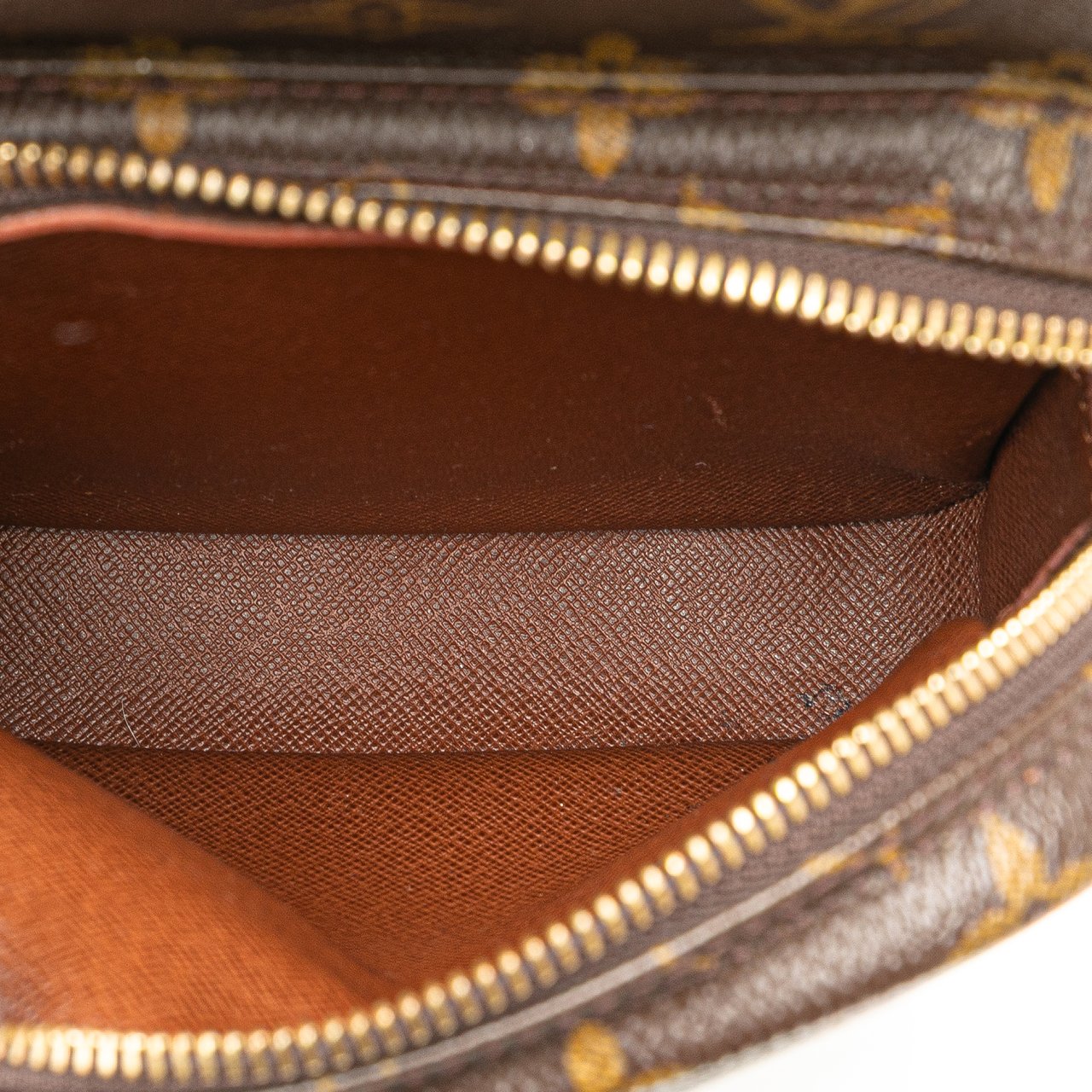 Louis Vuitton Monogram Amazone Bruin