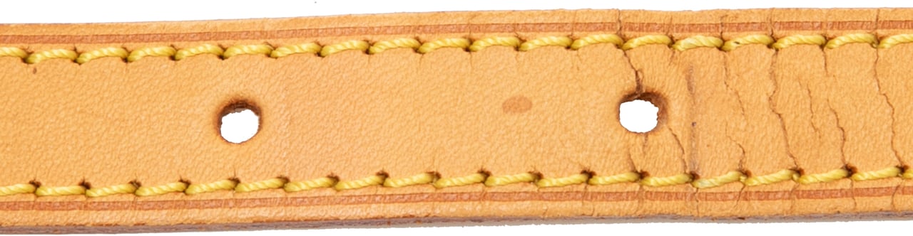 Louis Vuitton Monogram Trotteur Bruin