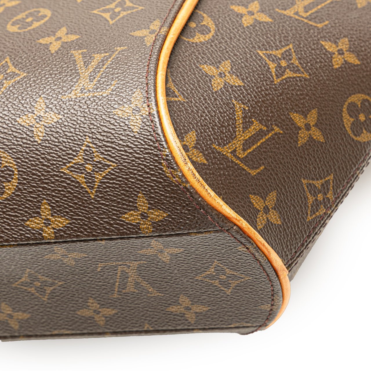 Louis Vuitton Monogram Ellipse PM Bruin