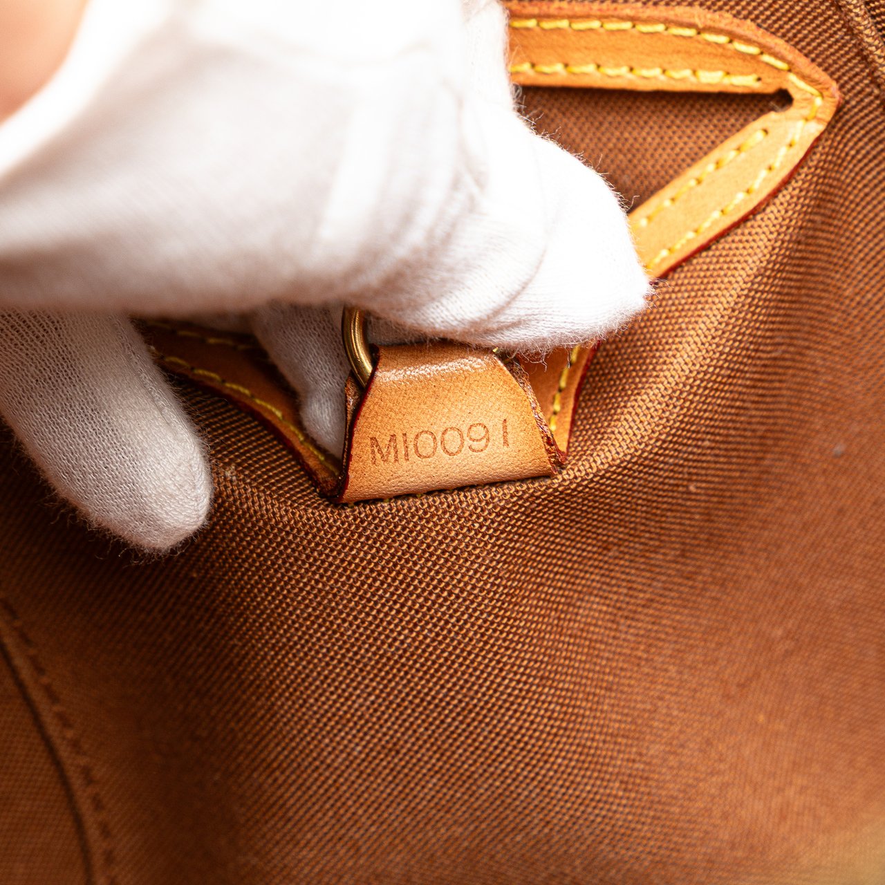 Louis Vuitton Monogram Ellipse PM Bruin