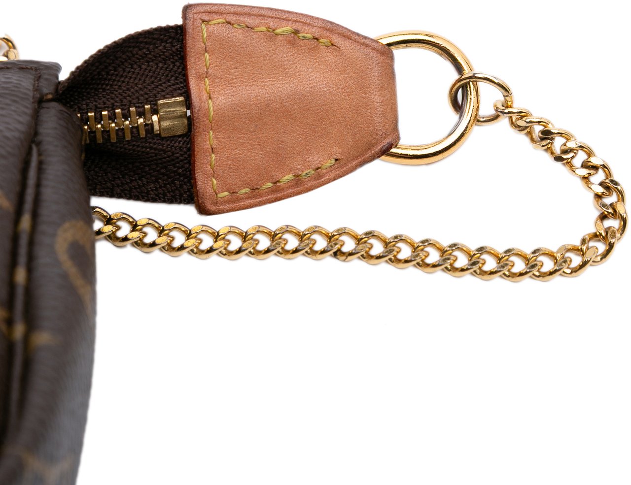 Louis Vuitton Monogram Mini Pochette Accessoires Bruin