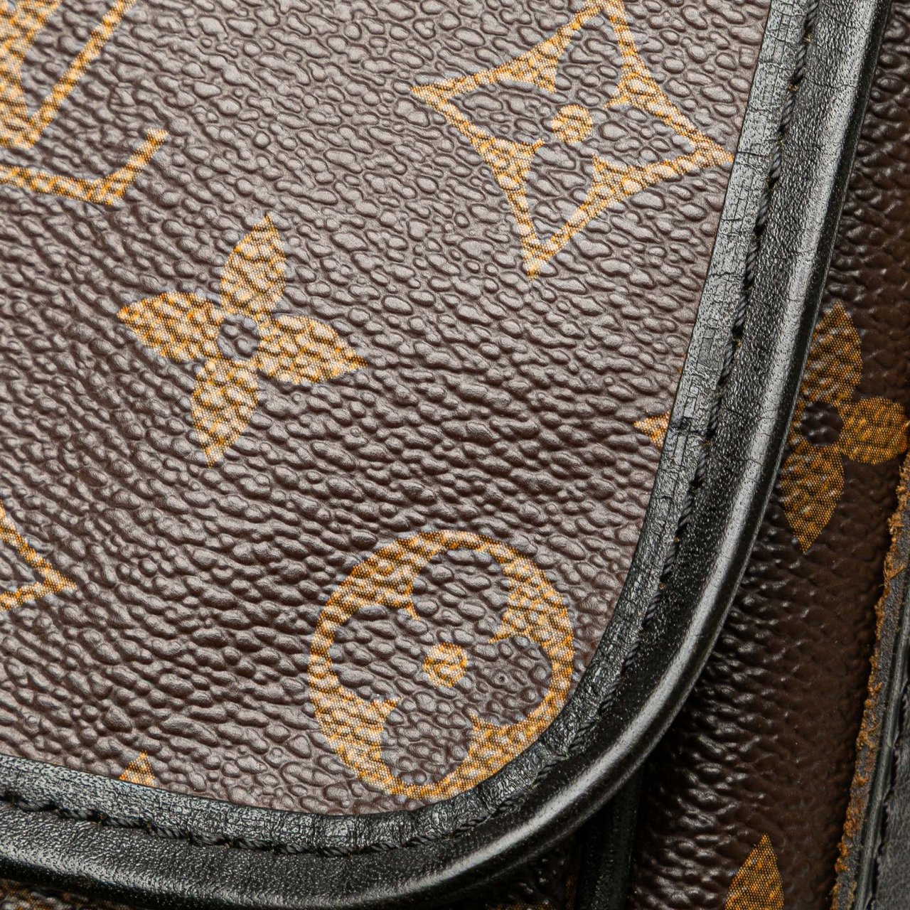 Louis Vuitton Monogram Macassar Bass PM Bruin