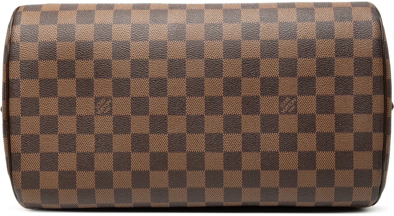 Louis Vuitton Damier Ebene Ribera MM Bruin