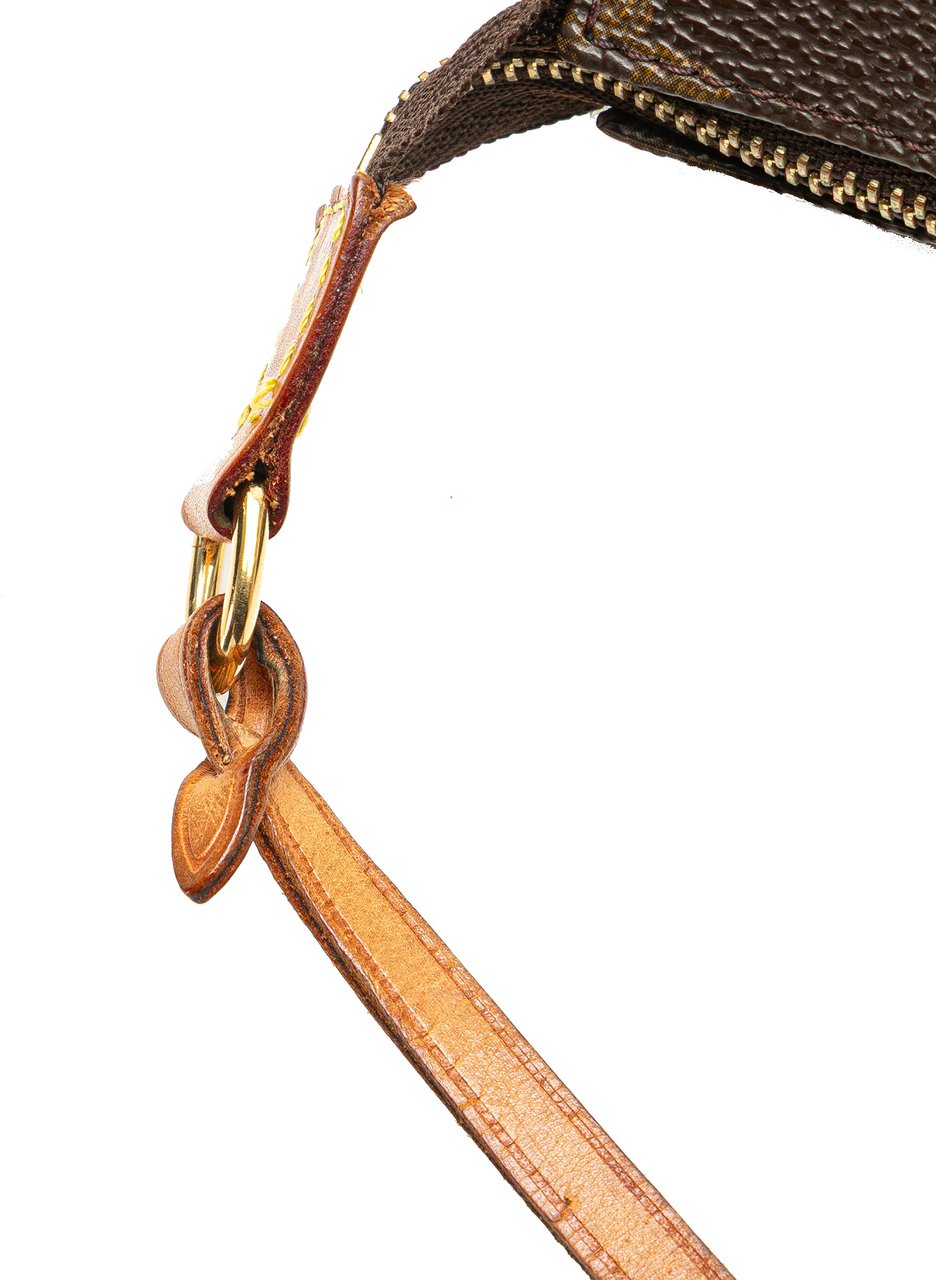 Louis Vuitton Monogram Pochette Accessoires Bruin