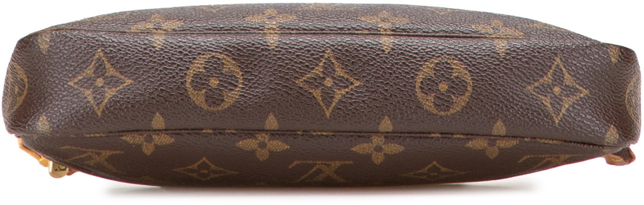 Louis Vuitton Monogram Pochette Accessoires Bruin