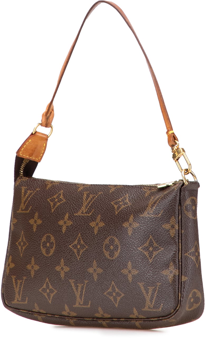 Louis Vuitton Monogram Pochette Accessoires Bruin