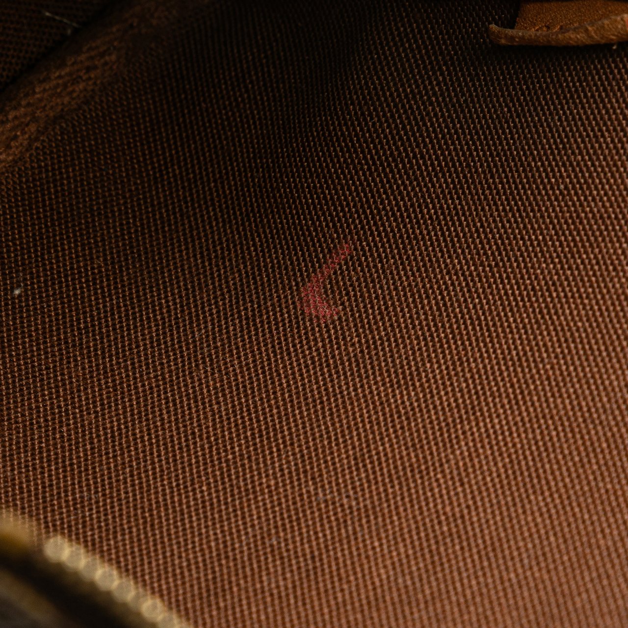 Louis Vuitton Monogram Pochette Accessoires Bruin