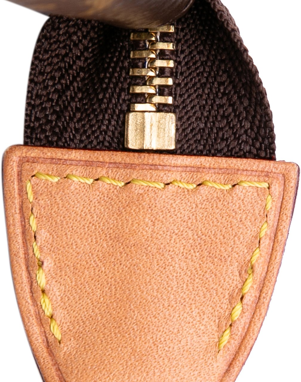 Louis Vuitton Monogram Mini Pochette Accessoires Bruin