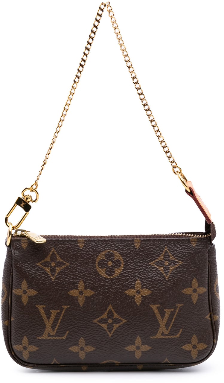 Louis Vuitton Monogram Mini Pochette Accessoires Bruin