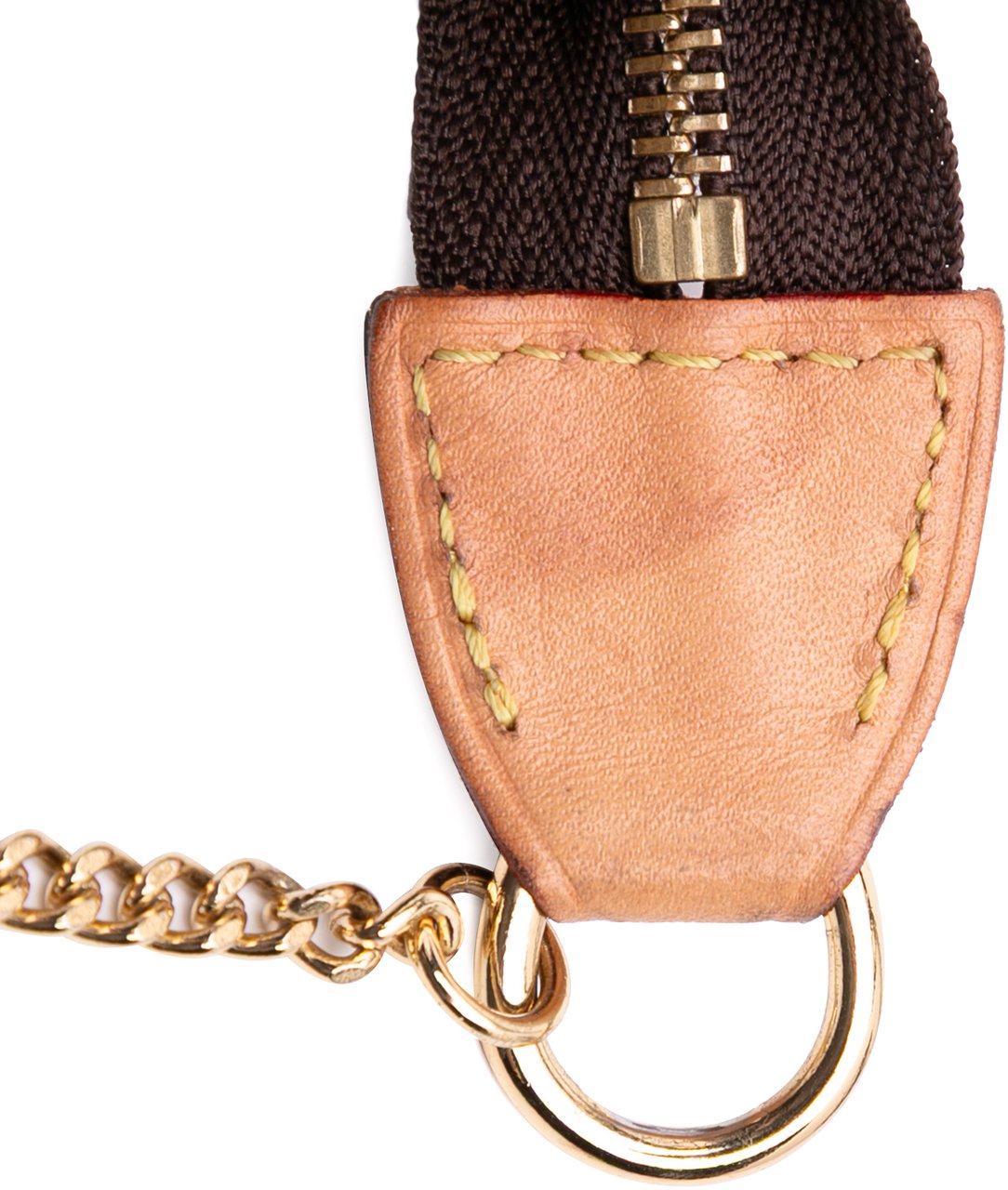 Louis Vuitton Monogram Mini Pochette Accessoires Bruin